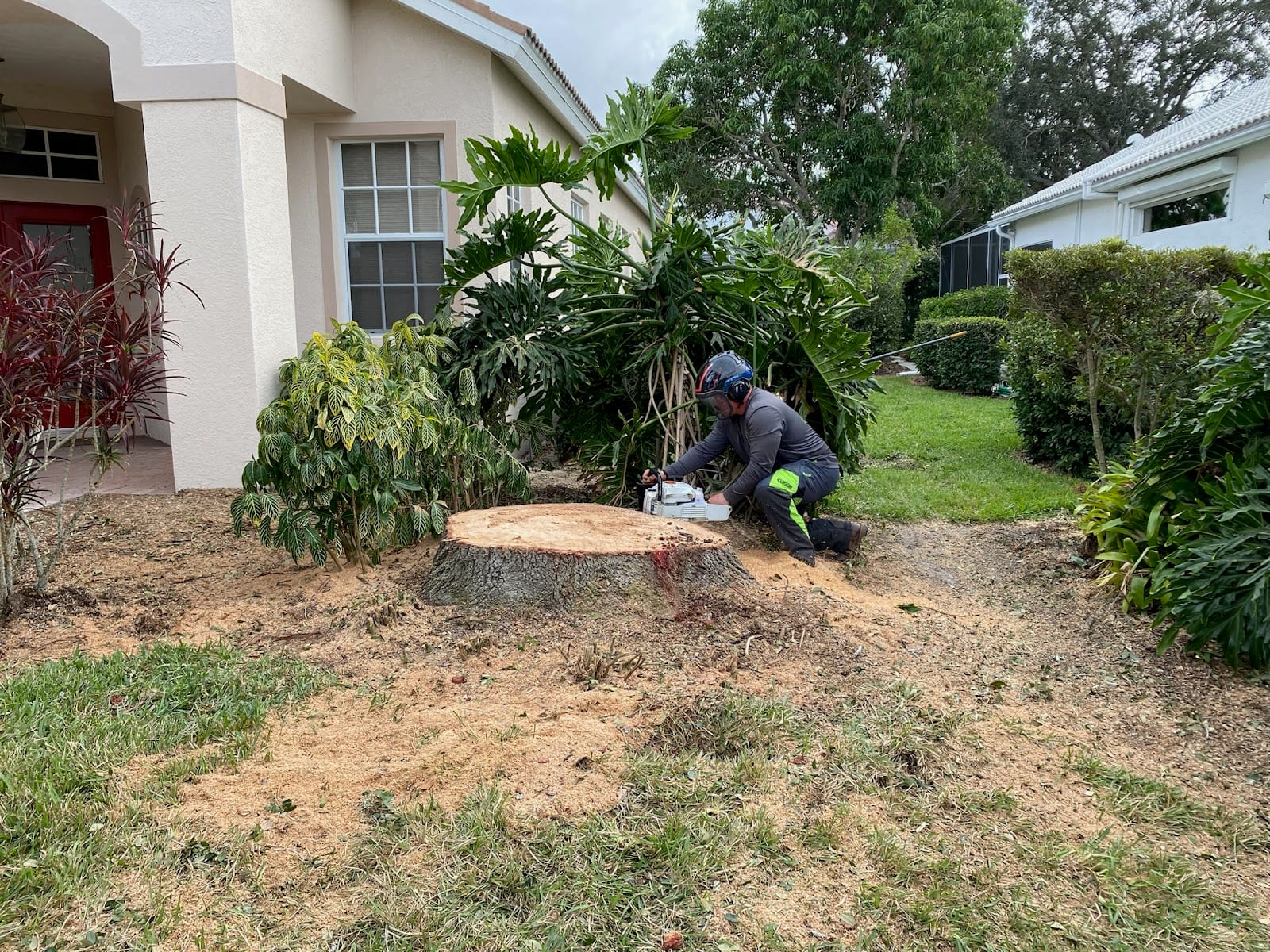 Liberty Tree & Land Services, photo 2