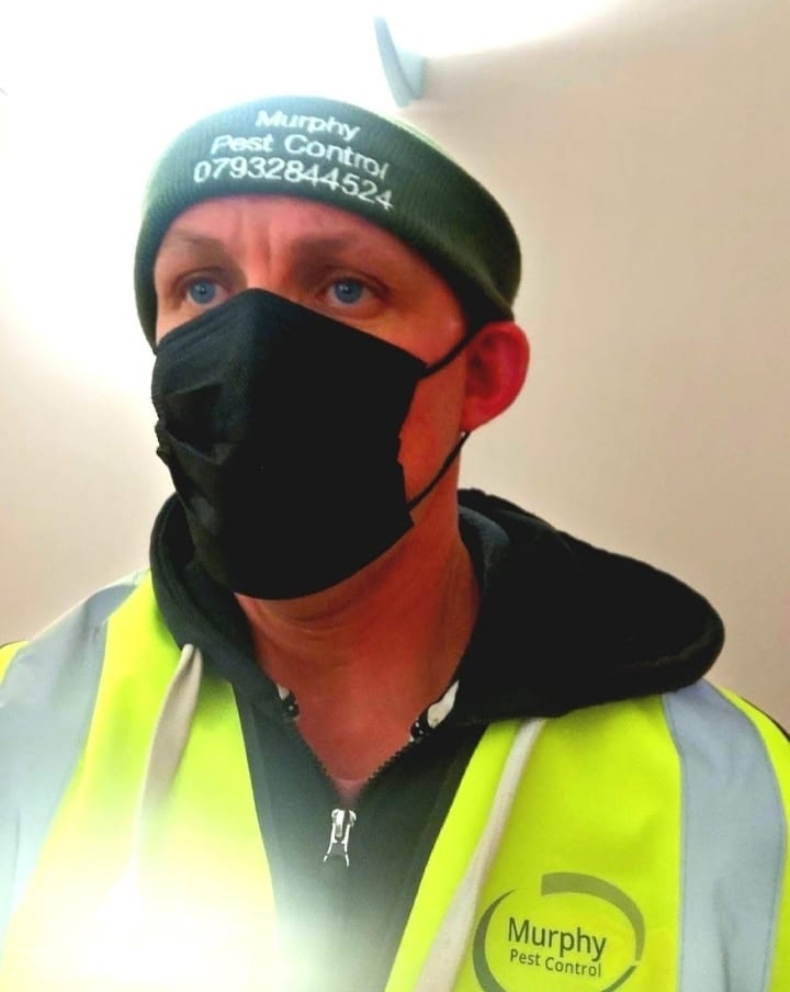 Murphy Pest Control, photo 3