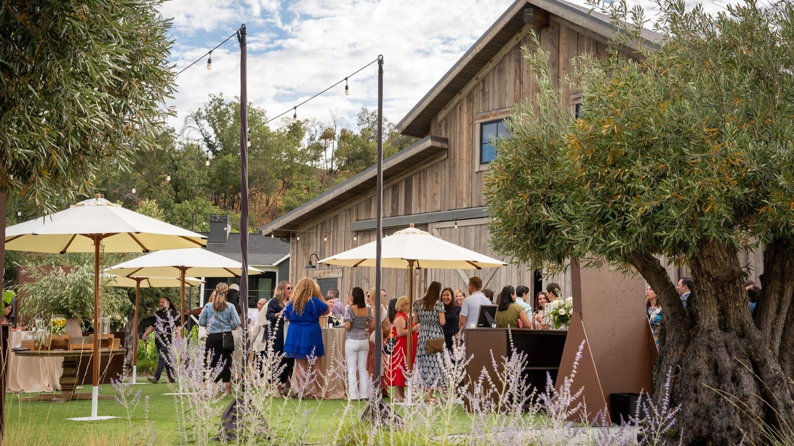 The Wedding Barn at Four Seasons Napa Valley, photo 4