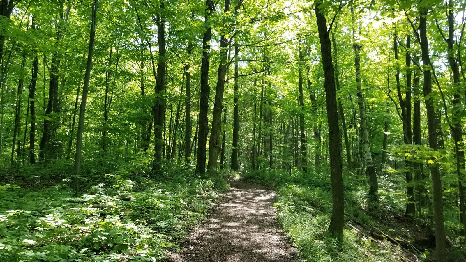 Moraine Park
