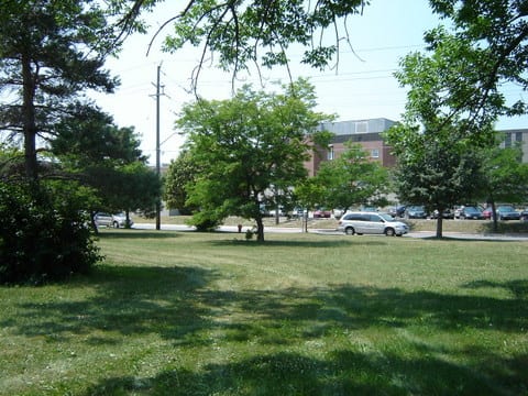 Don Head Park, photo 3
