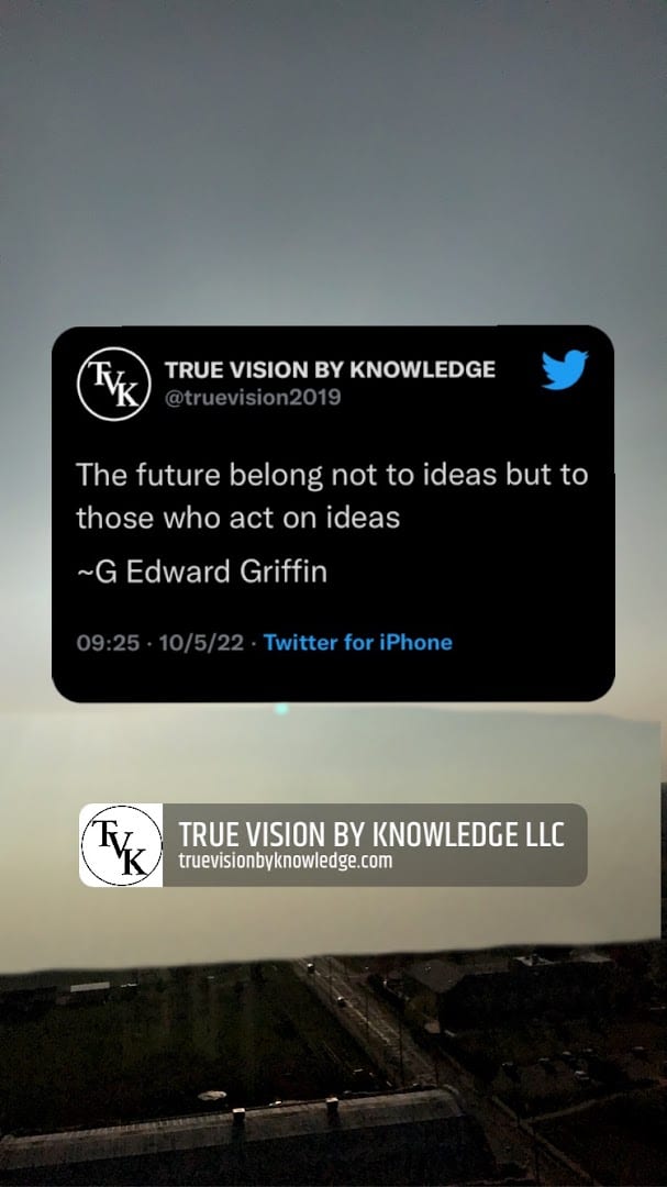 TRUE VISION BY KNOWLEDGE L.L.C., photo 3