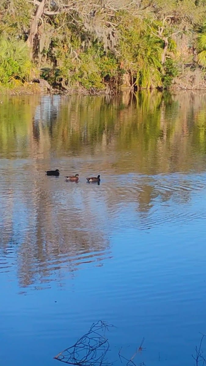Locklear Park, photo 2