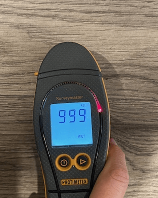Mold Doctor Pro