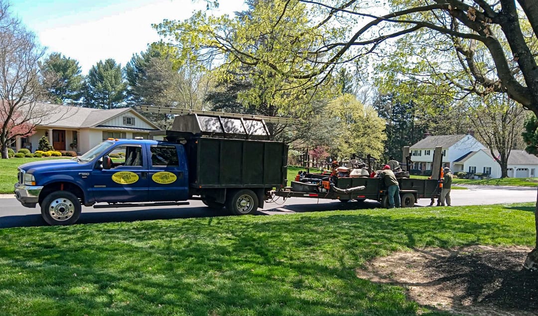 Nestor Landscaping and Tree, photo 3