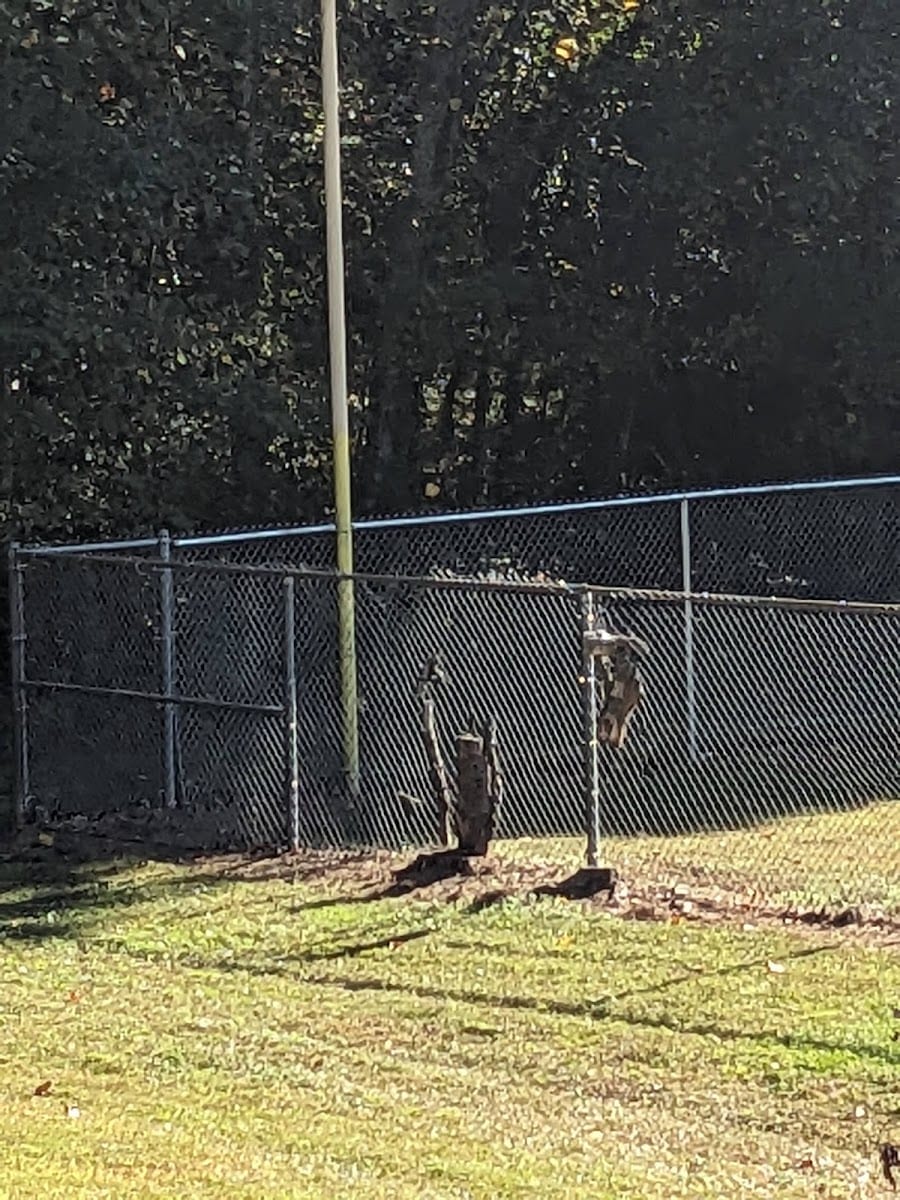 Equinox Park, photo 3