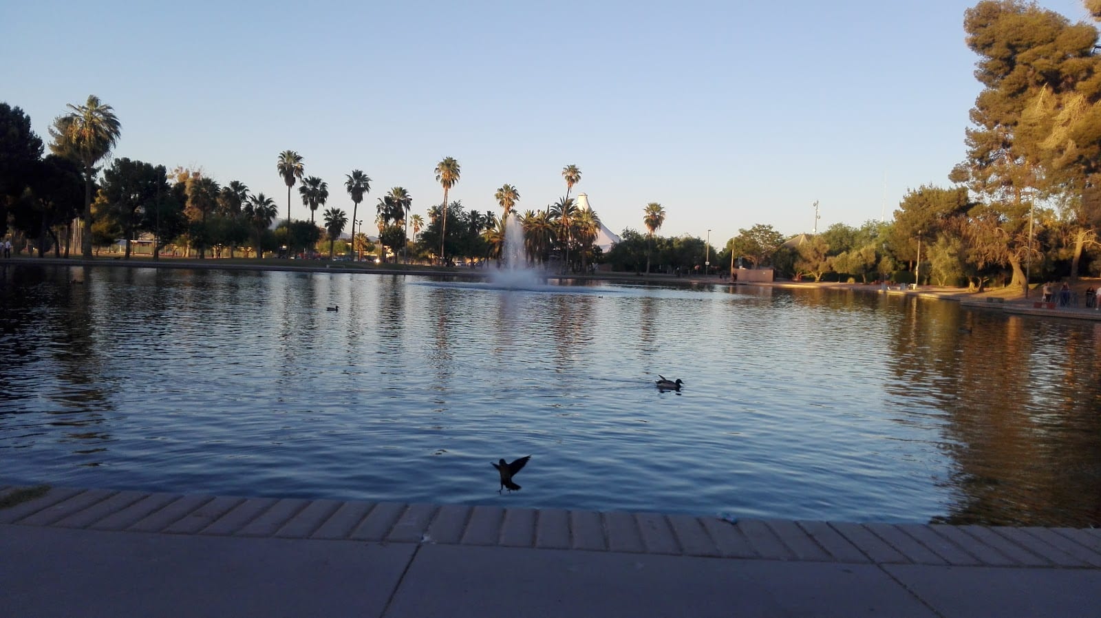 Reid Park Ramada #4