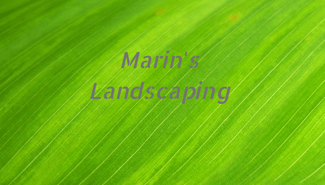 Marin's Landscaping