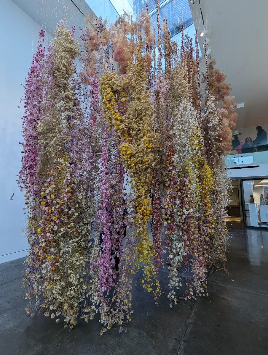 Chandran Gallery
