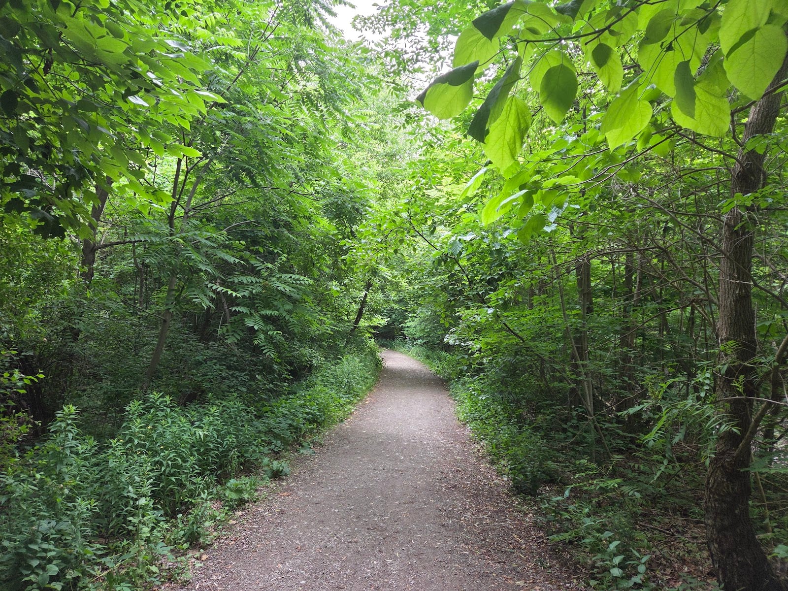 Start of walking trail