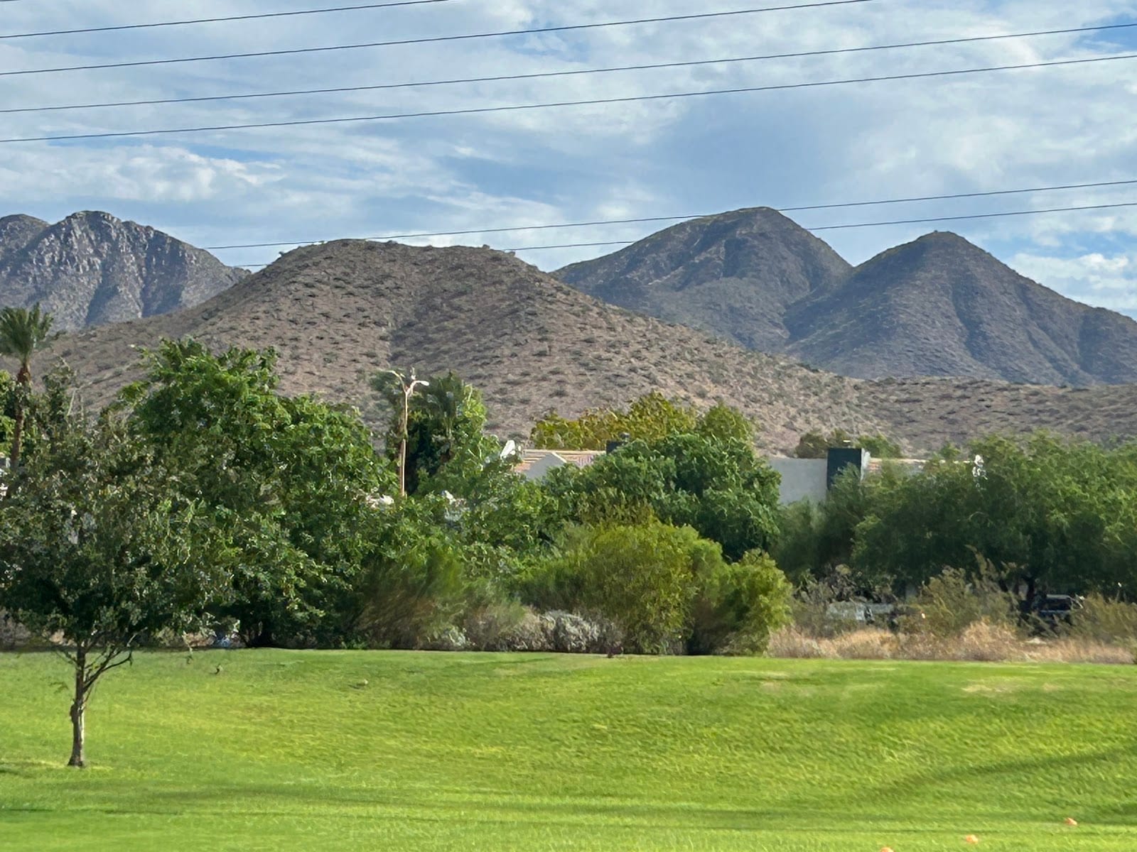 Cholla Park, photo 3