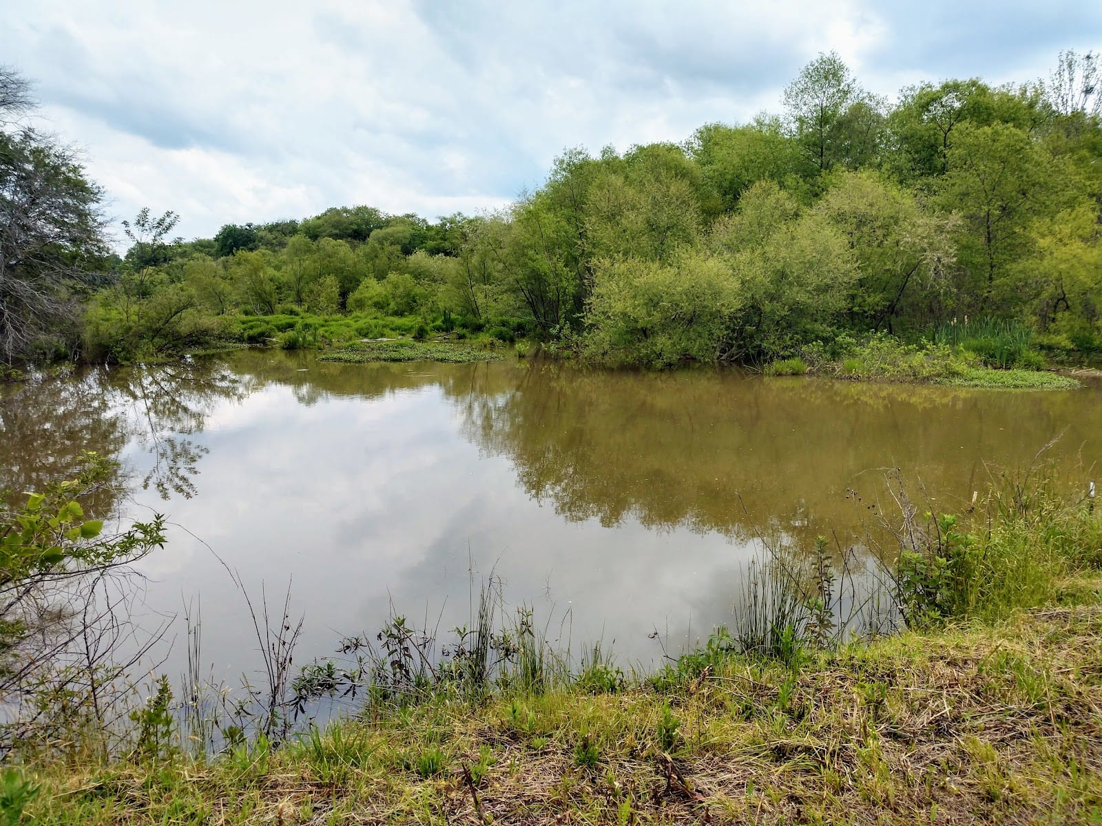 Beaverdam Creek WMA, photo 3