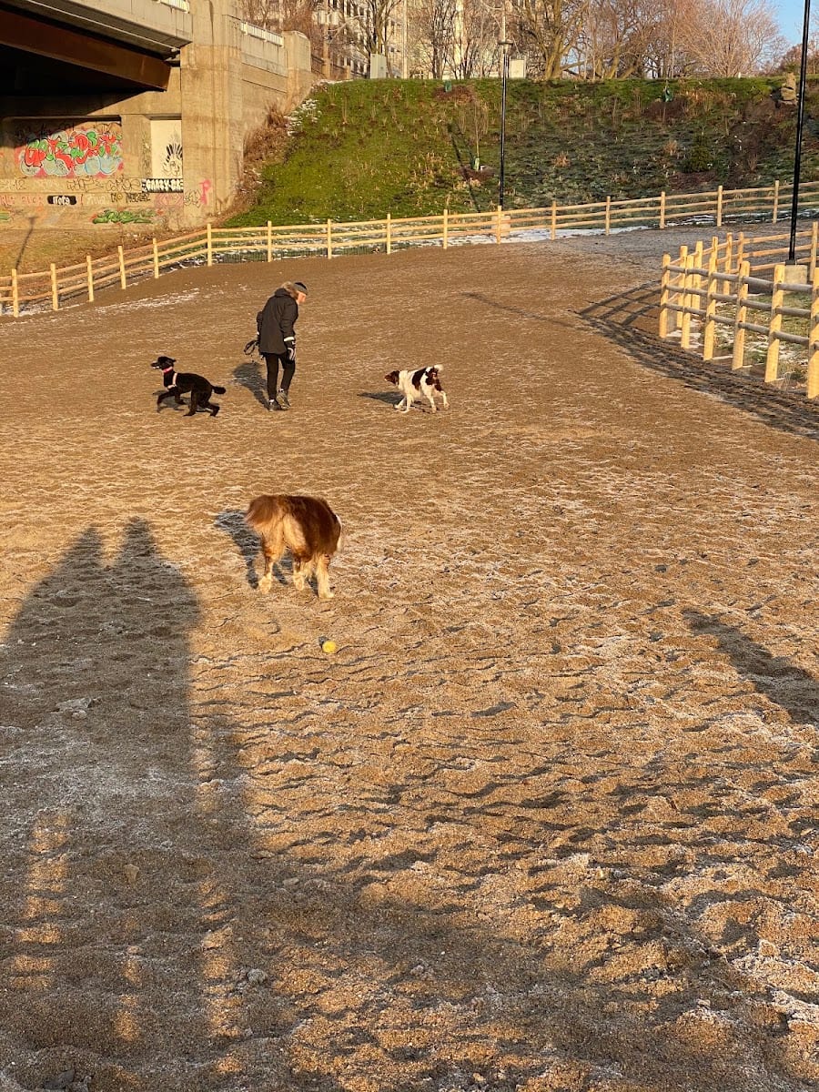 Dog Park at Winston Churchill Park