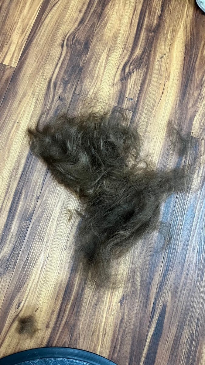 Supercuts, photo 4