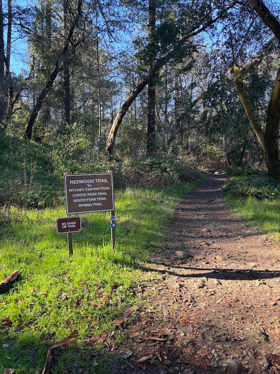 Trailhead for Redwood Trail in Bothe-Napa Valley State Park