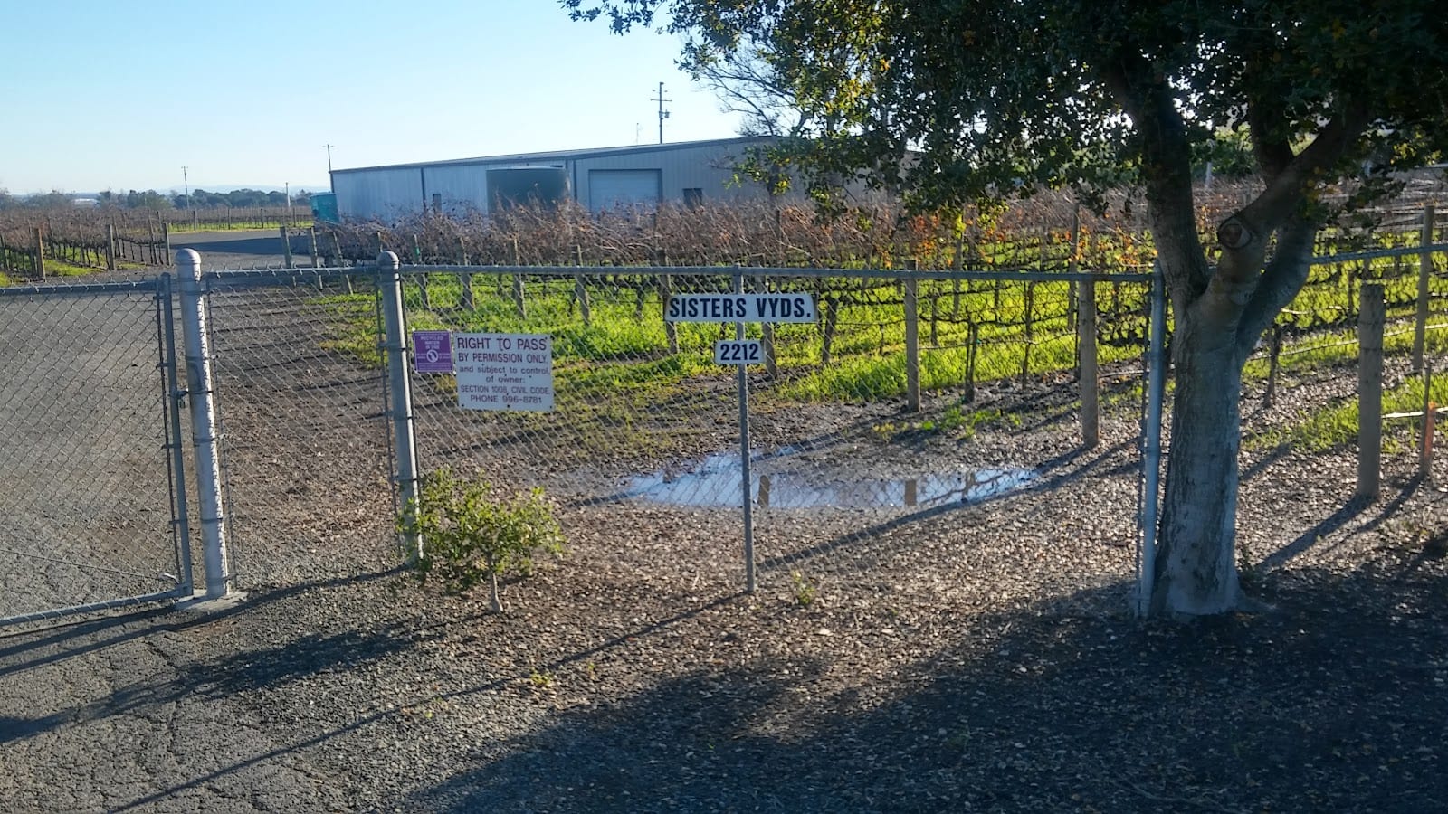 Ceja Vineyards, photo 3