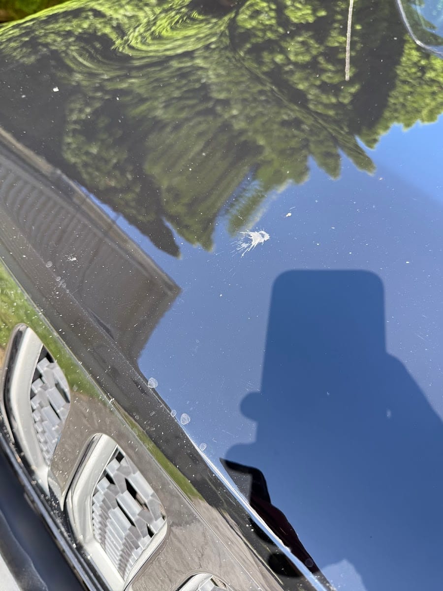 GO Car Wash, photo 3