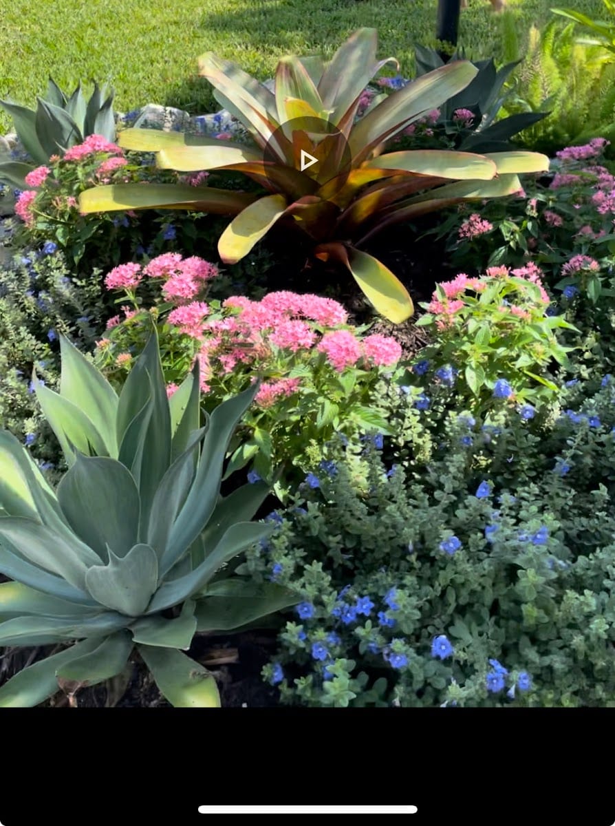 Cayo Coco Landscaping LLC, photo 2