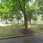 Sumner pocket park
