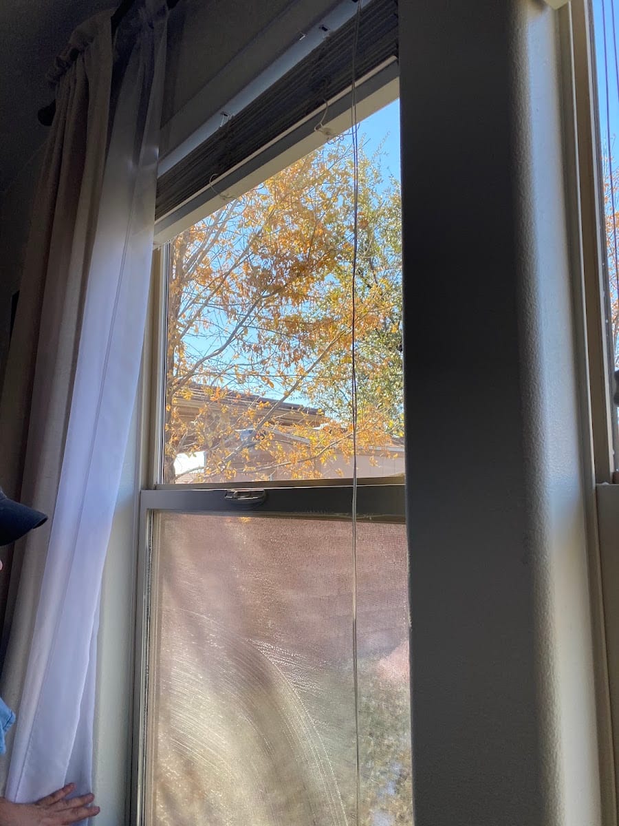 White Buffalo Window Cleaning
