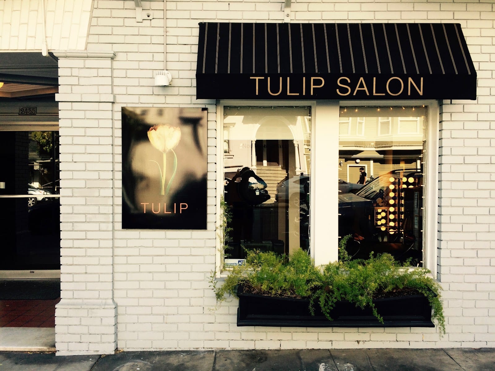 Tulip Salon, photo 4