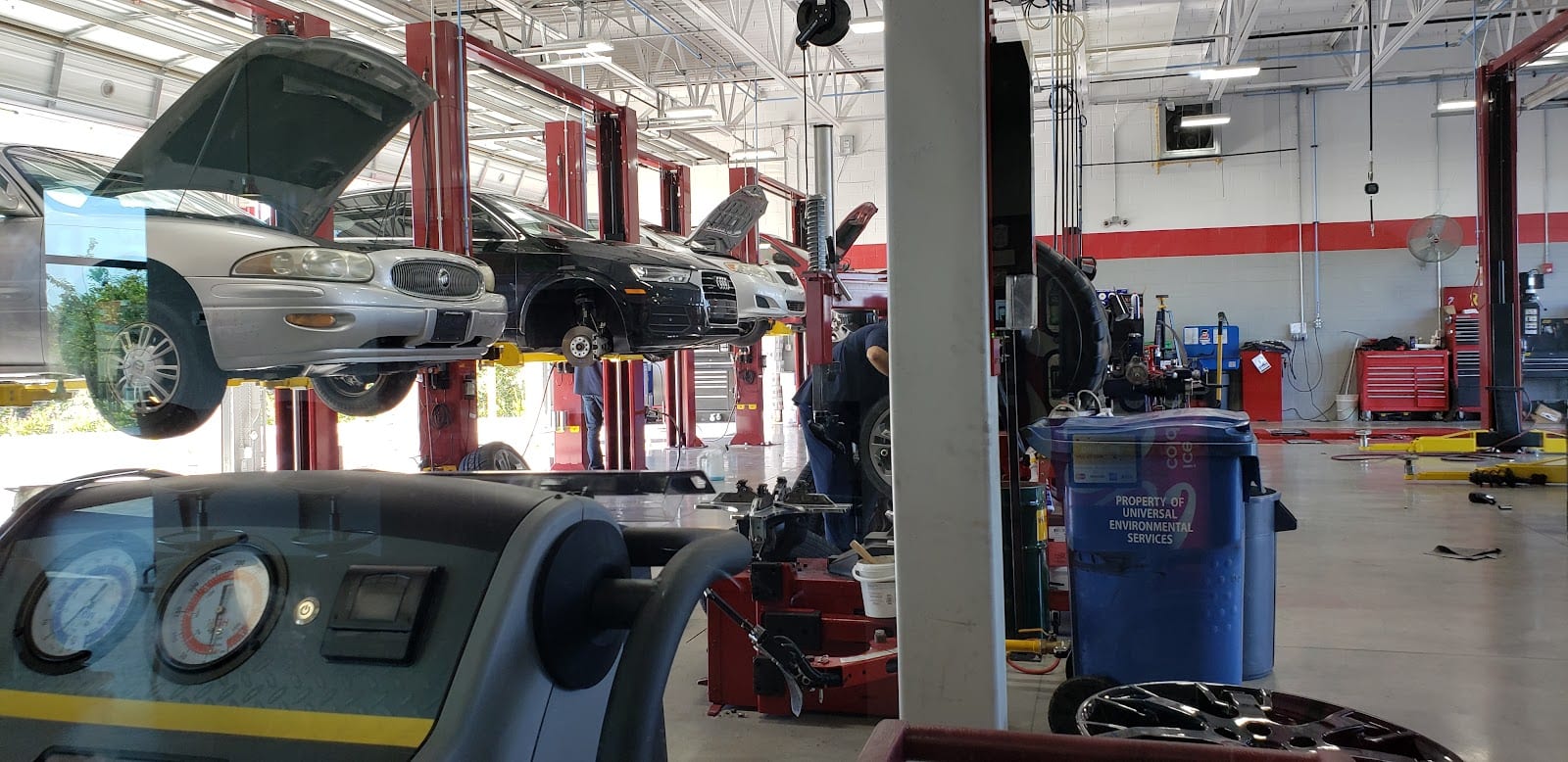 Tire Kingdom