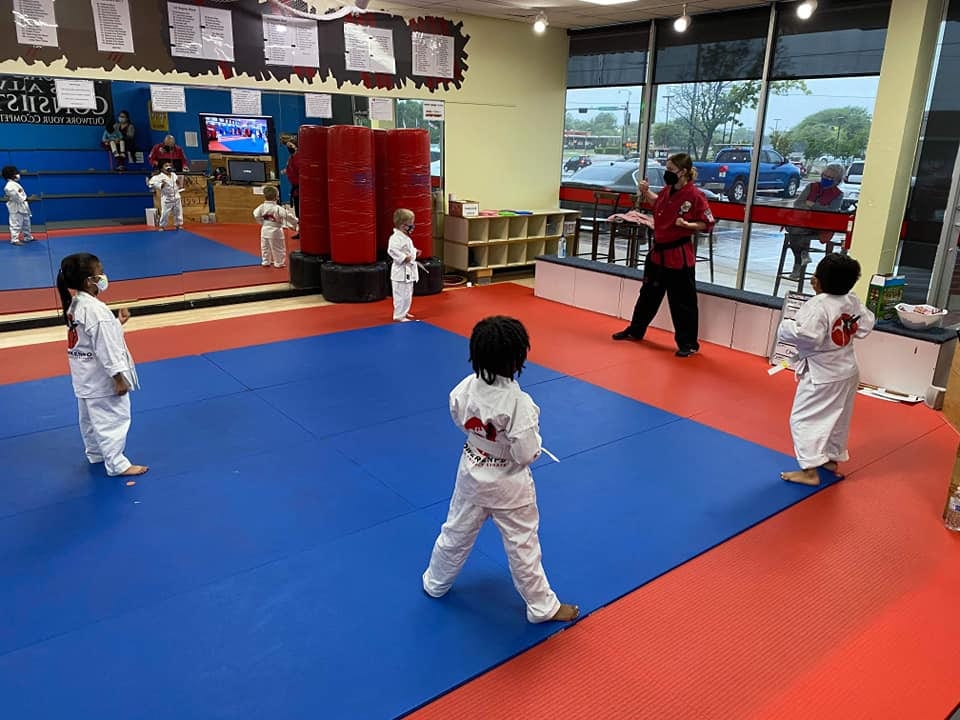 Power Kenpo, photo 4