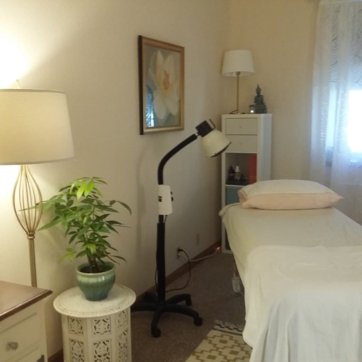 Dharma Acupuncture Dr. Lisa Swanson, DAIM, L.Ac.