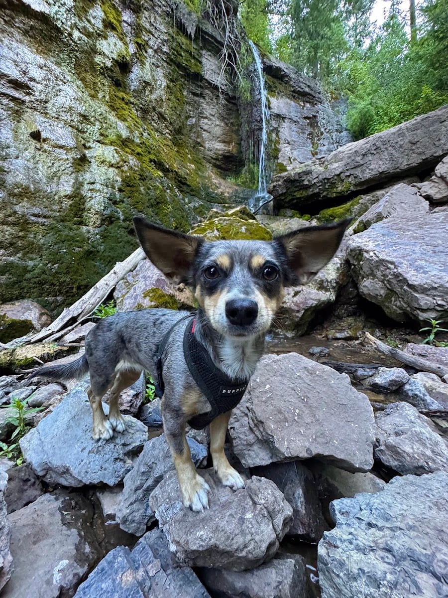 Richards Hollow Falls, photo 3