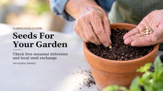 Planting seeds
