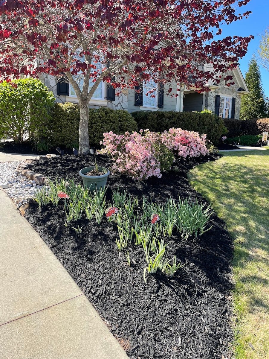 Beltran's Lawn Care, LLC, photo 4
