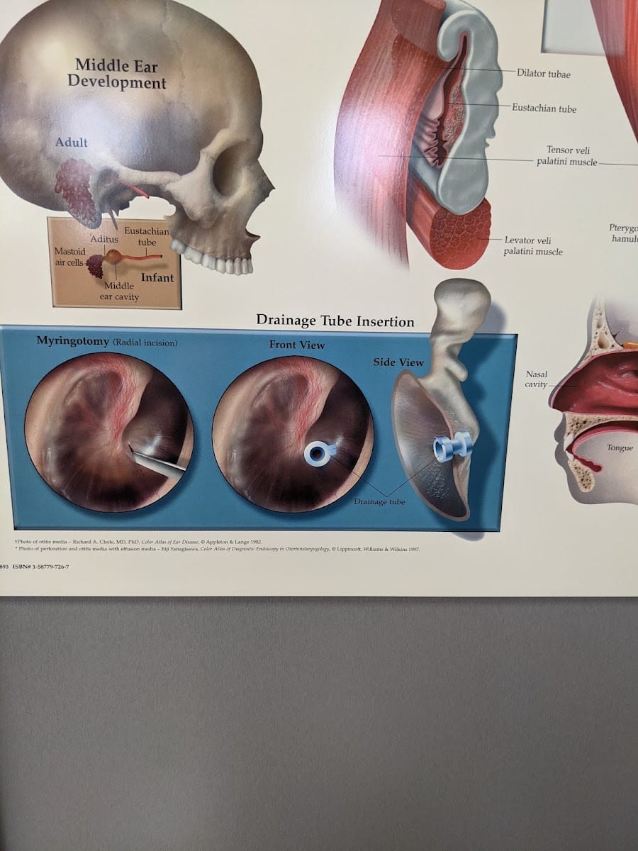Christopher J Danner MD FACS, photo 2