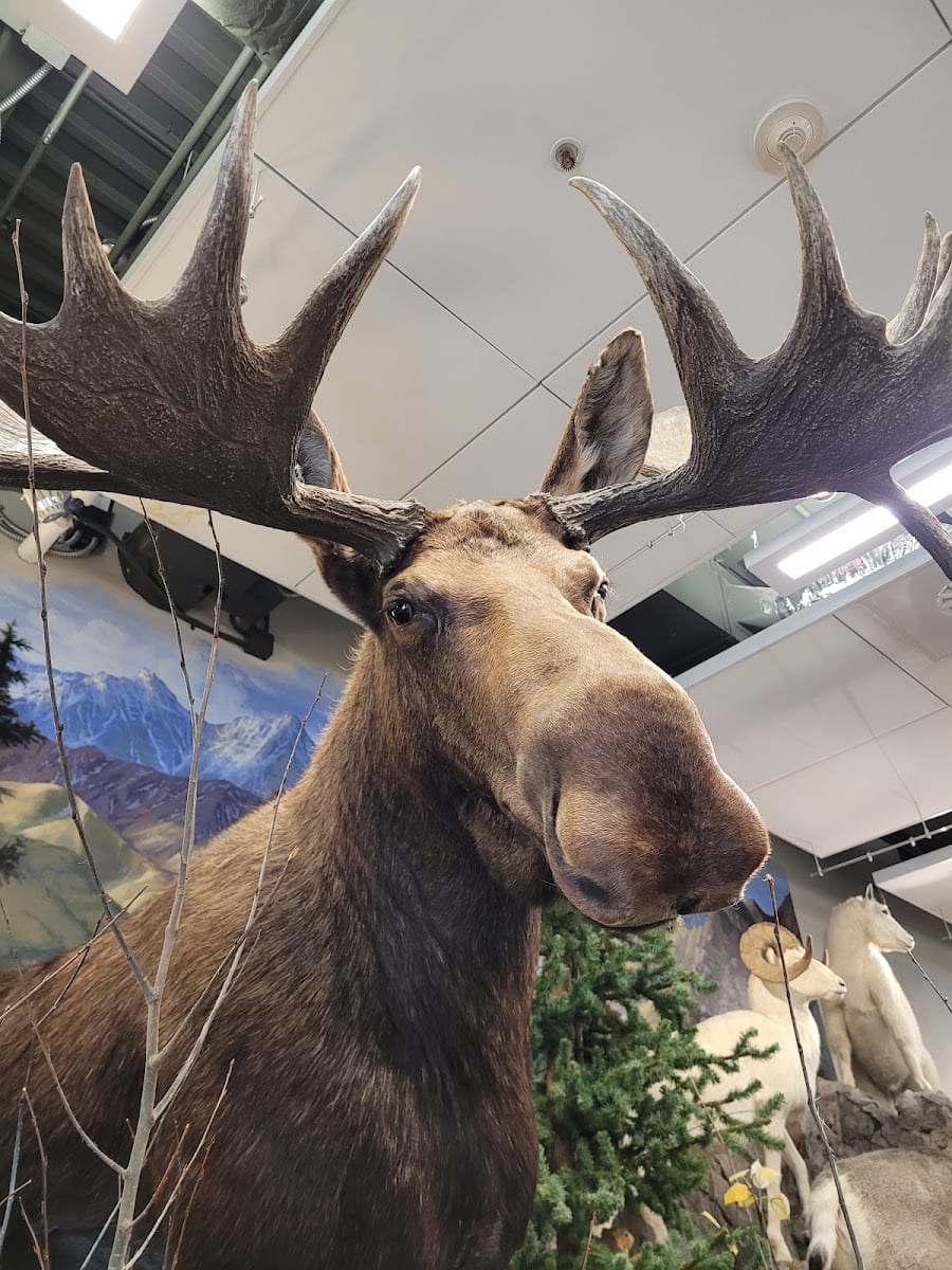 Garth & Jerri Frehner Museum of Natural History