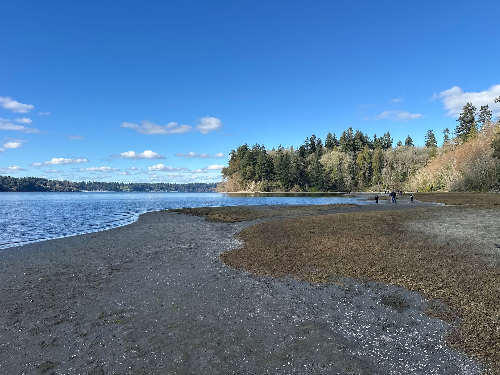 Squaxin Park (Priest Point)