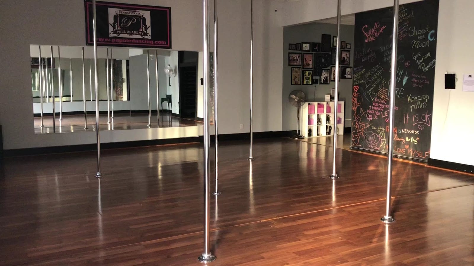 Pennsylvania Pole Academy, photo 3