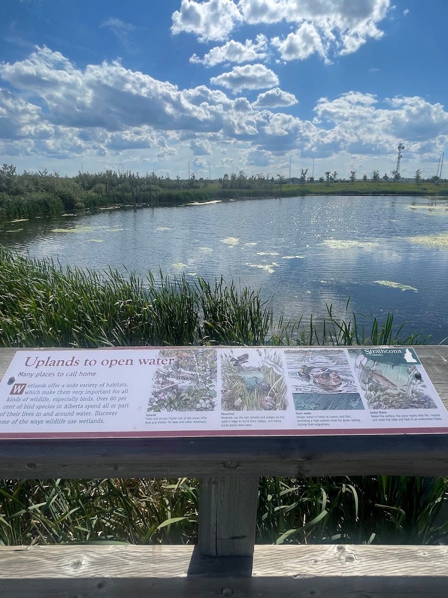 Wildlife Viewing Platform