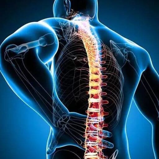 Peace River Chiropractic Services, photo 2