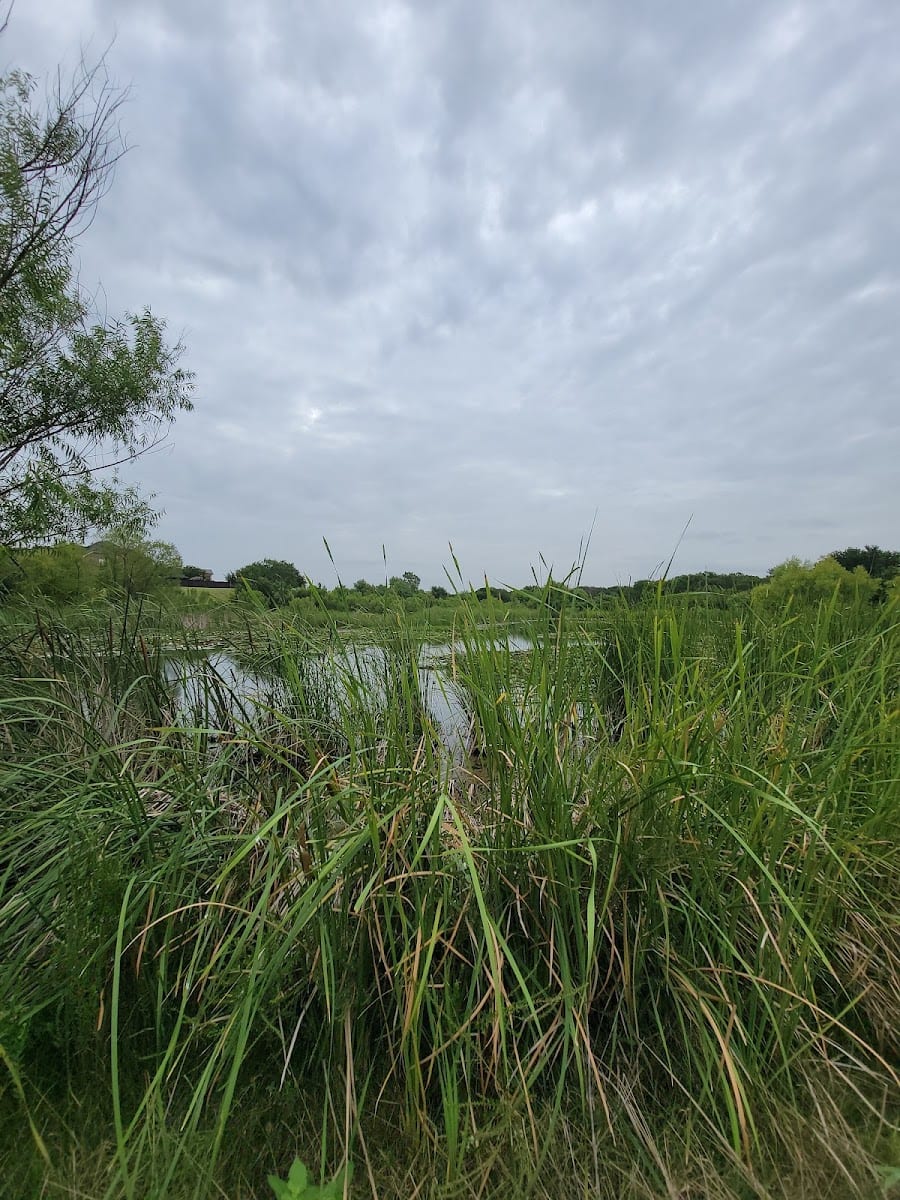 Stewart Creek Wetlands