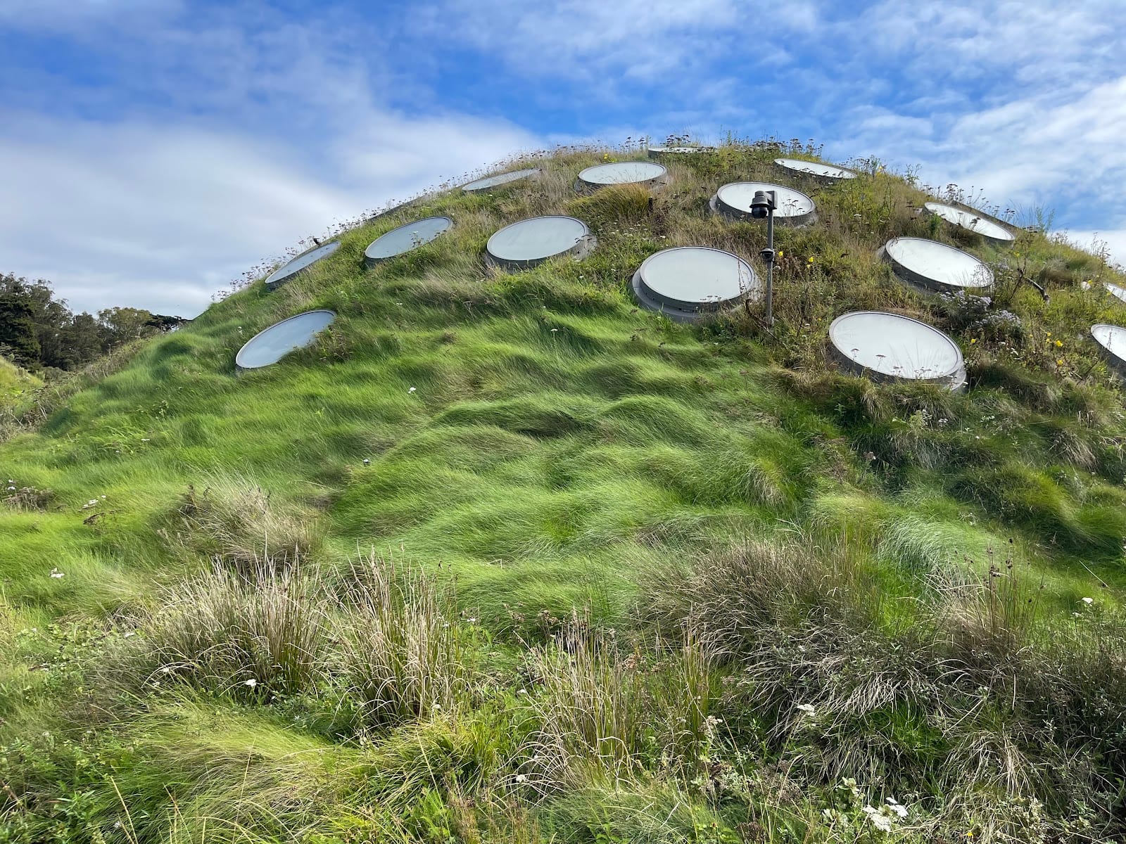 California Academy of Sciences, photo 4
