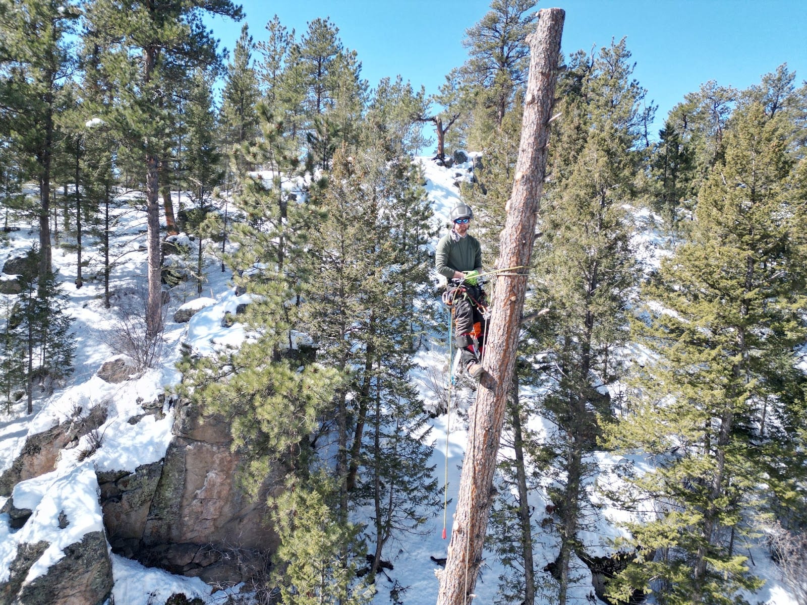 Alpine Tree Service, Estes Park, photo 2