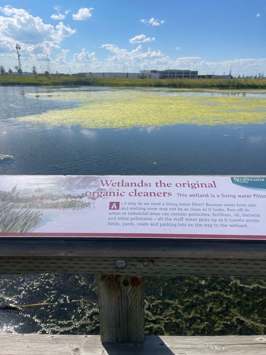 Wildlife Viewing Platform