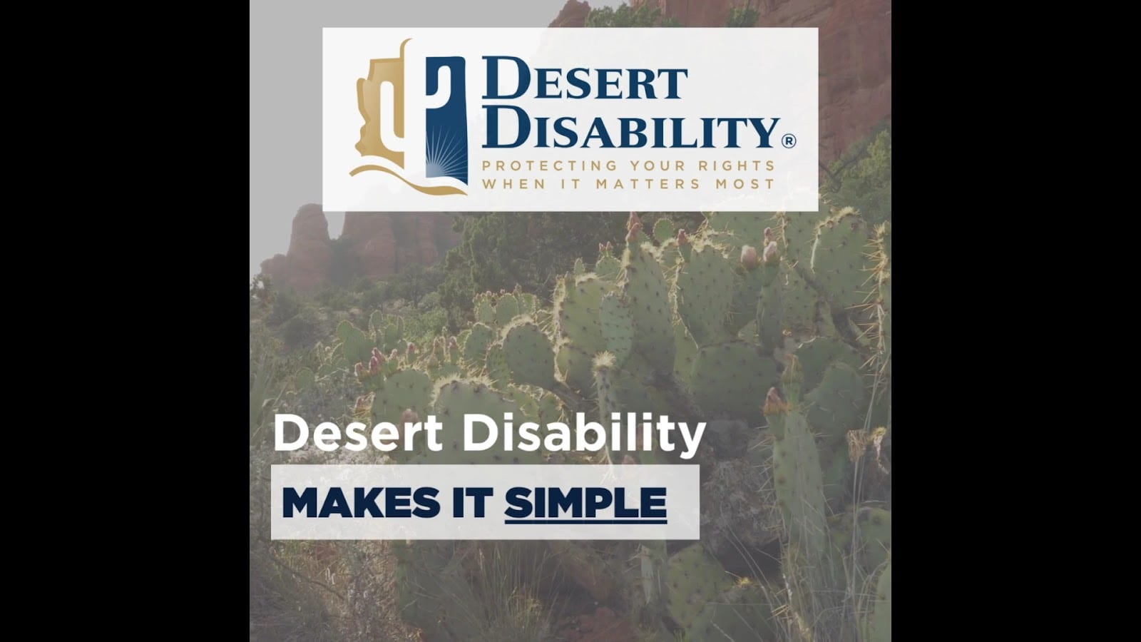 Desert Disability of Arizona, photo 3