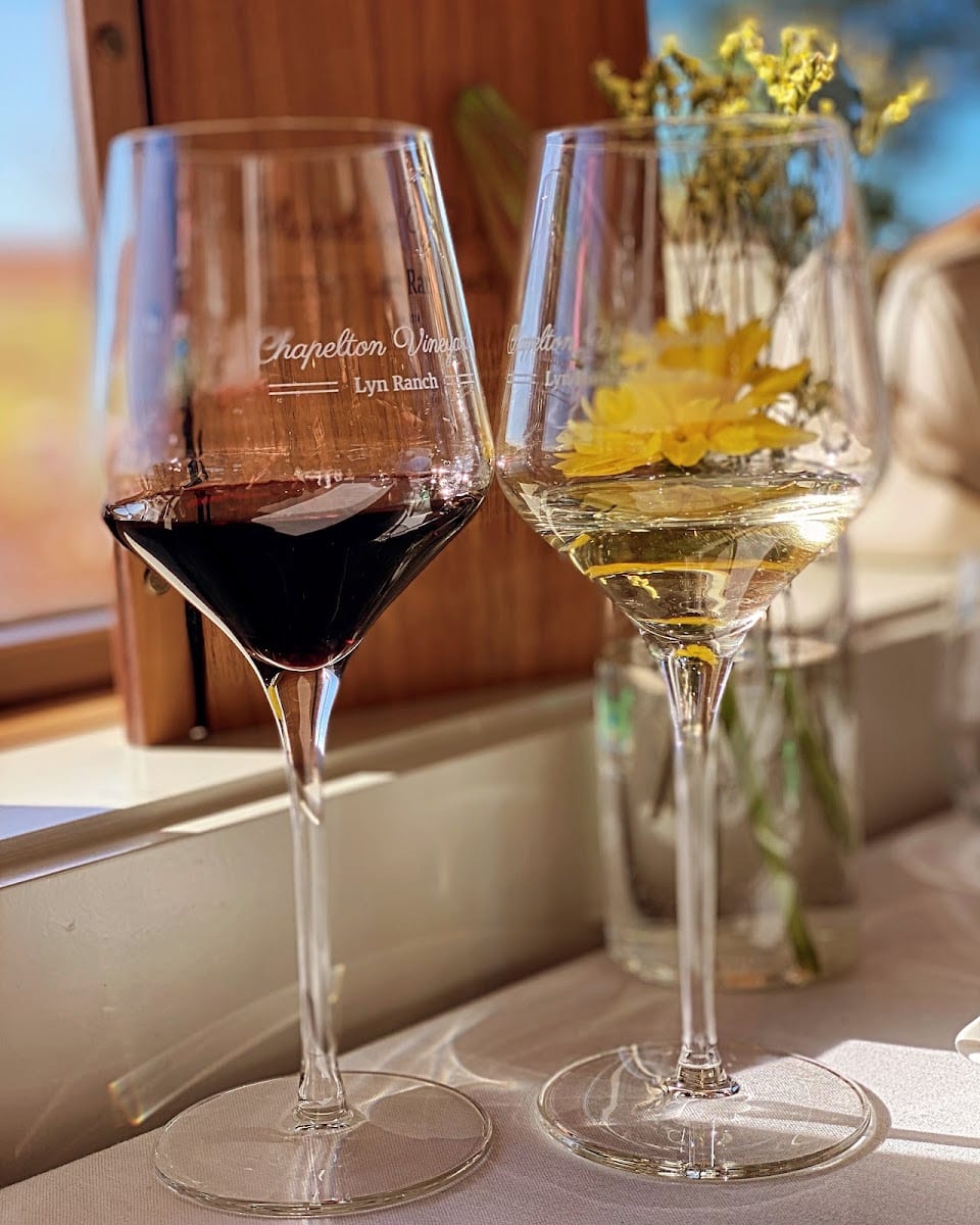 Chapelton Vineyards, photo 4