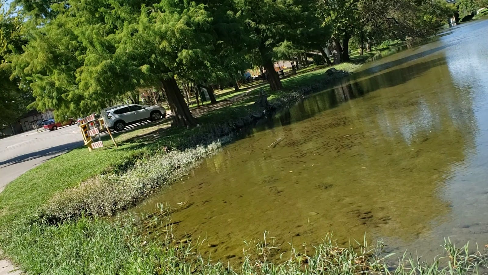 Memorial Park- Brushy Creek, photo 3