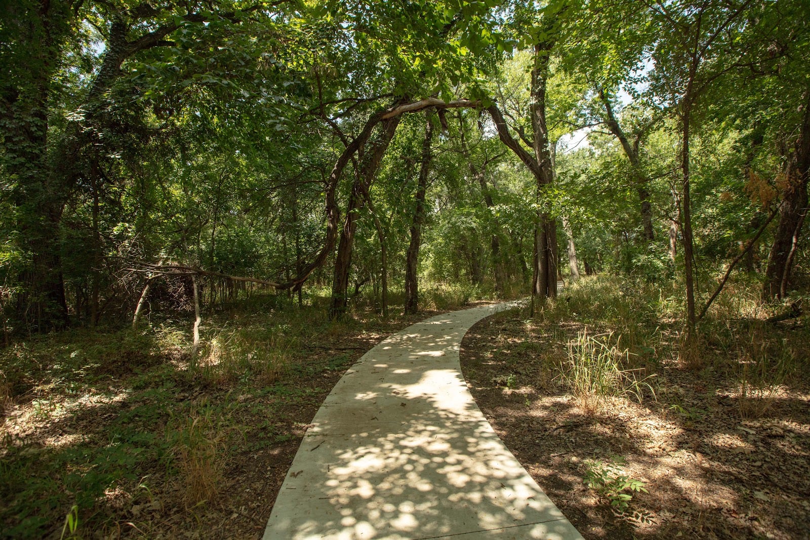 Chadwick Farms Park