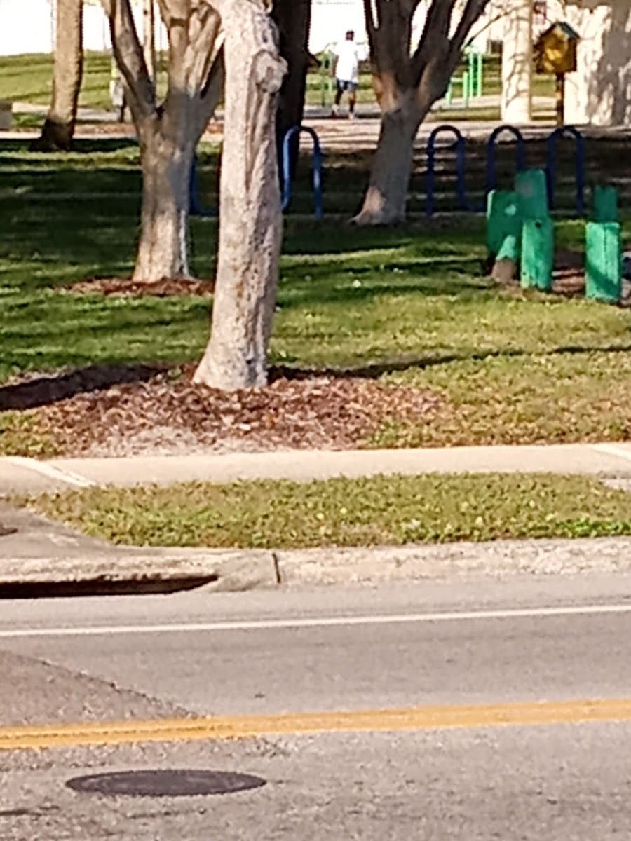 Ragan Park, photo 2
