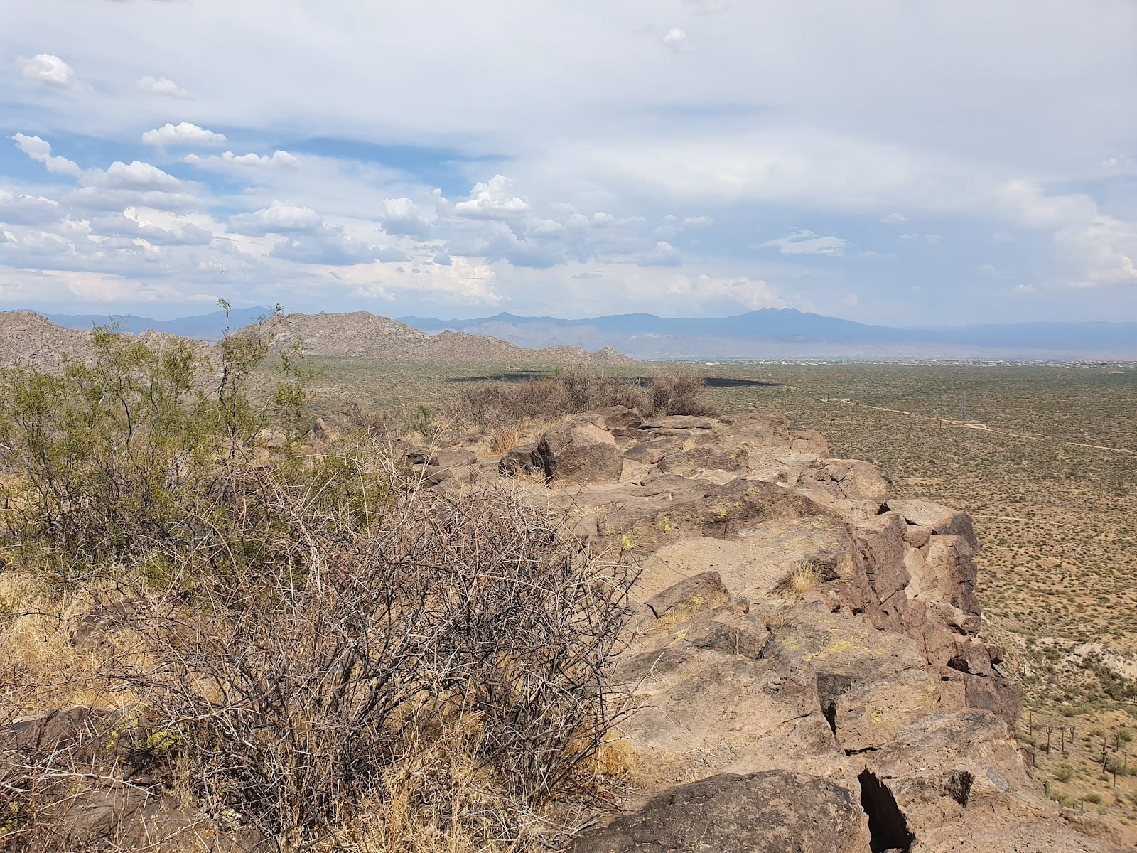 Brown's Mountain