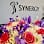 Synergy Rehabilitation & Sports Clinic