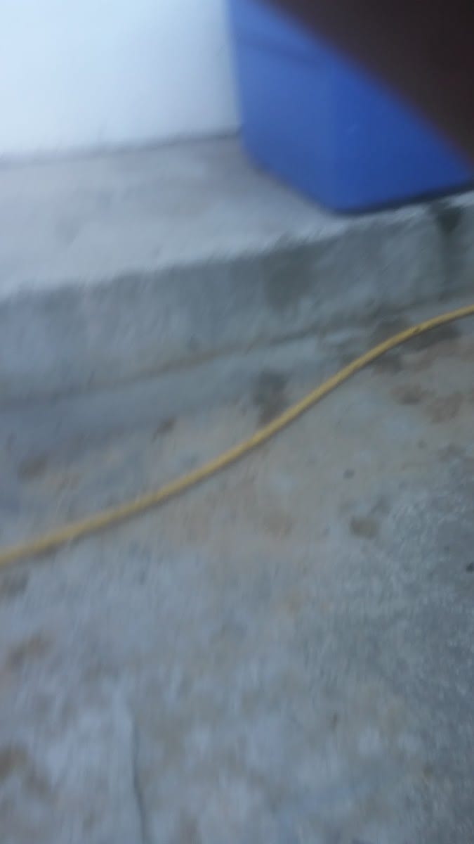 A1 Roofing & Maintenance Co Inc