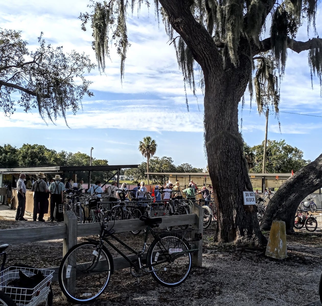 Pinecraft Park, photo 3